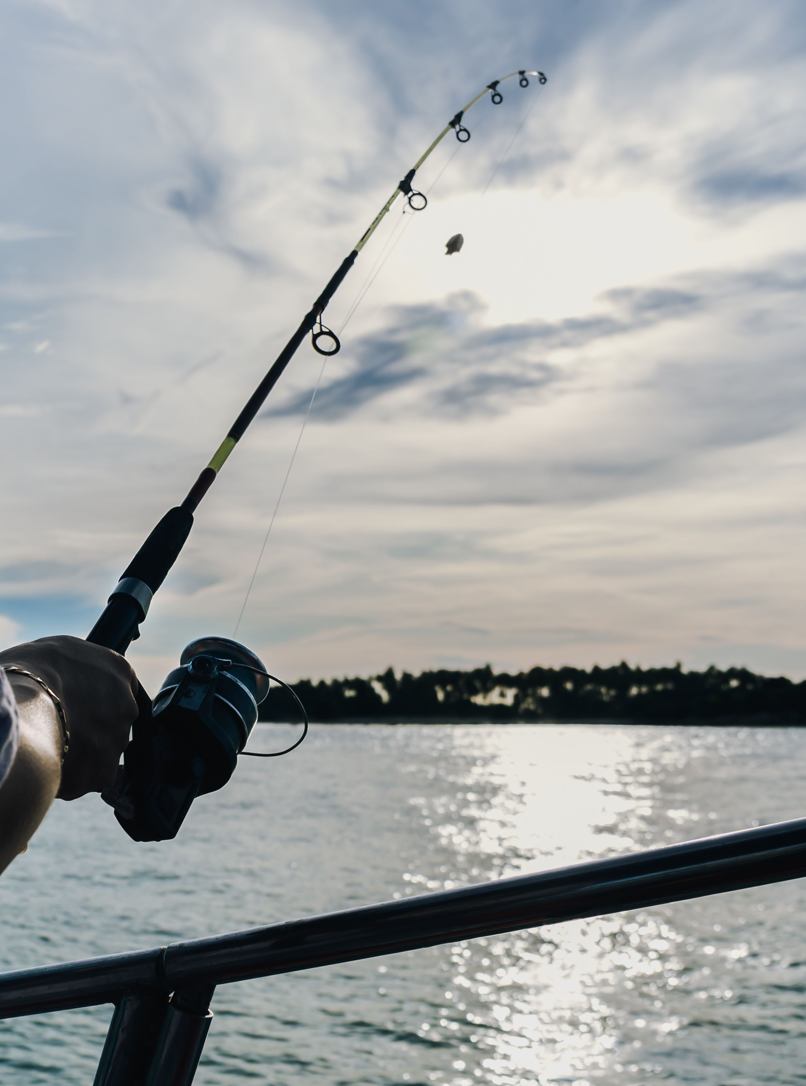 Person holding a fishing rod on a boat with a calm sea and a cloudy sky in the background