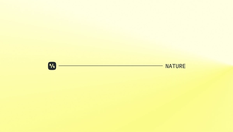 NATURE: Contactless LVET measurement