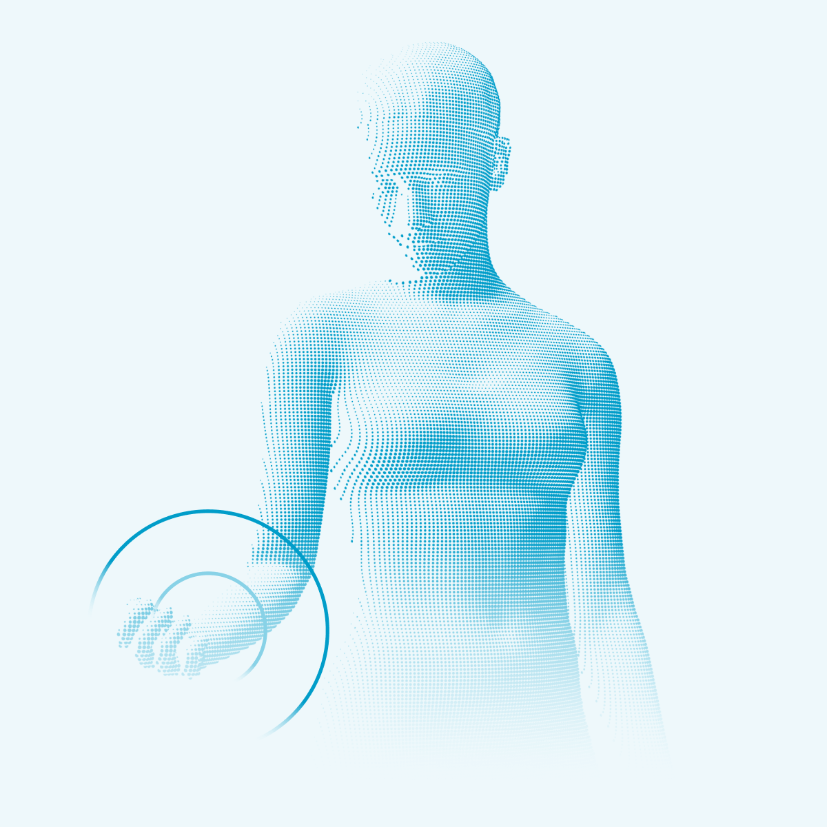 Body