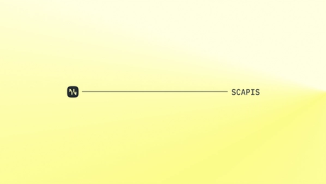 SCAPIS 2: Cardiac, vascular microvascular function