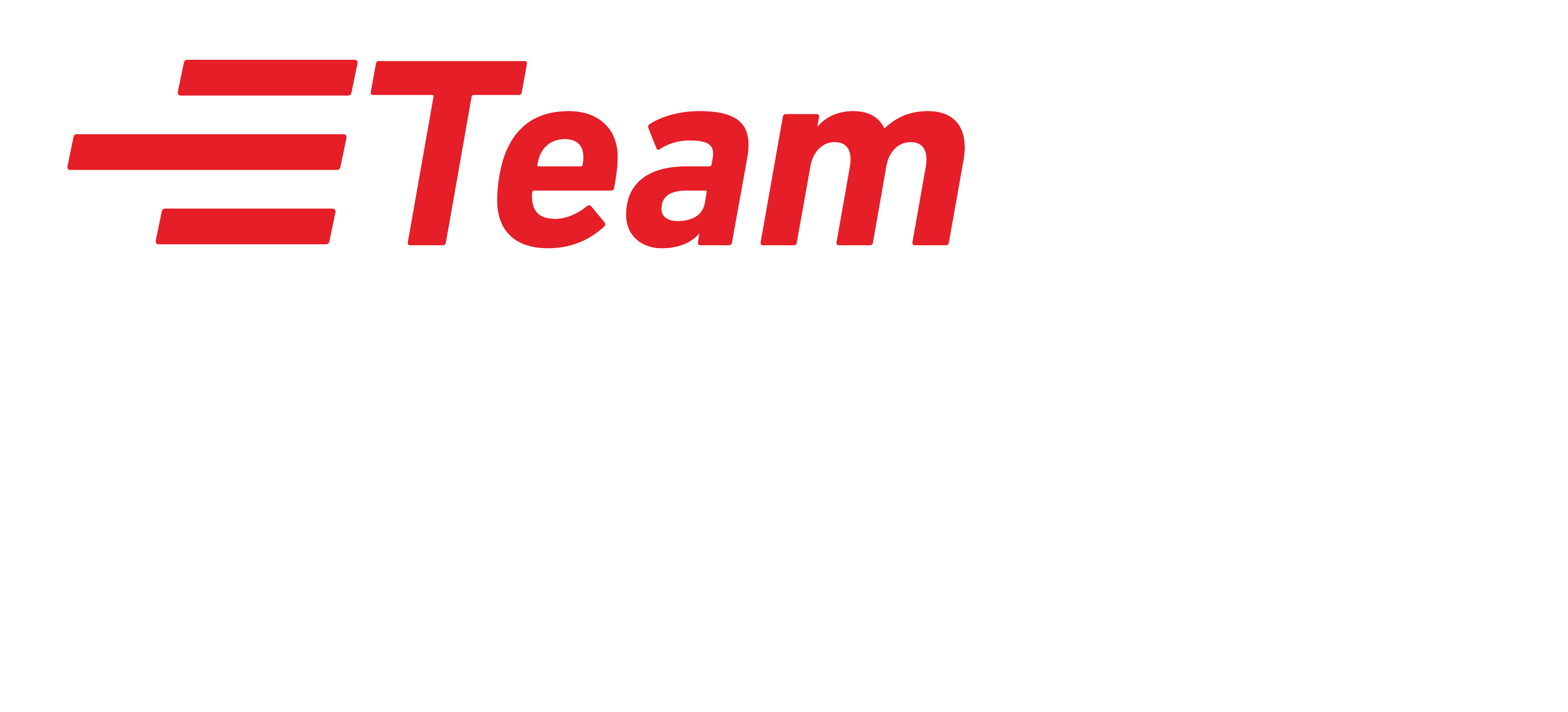 Team DriveAway