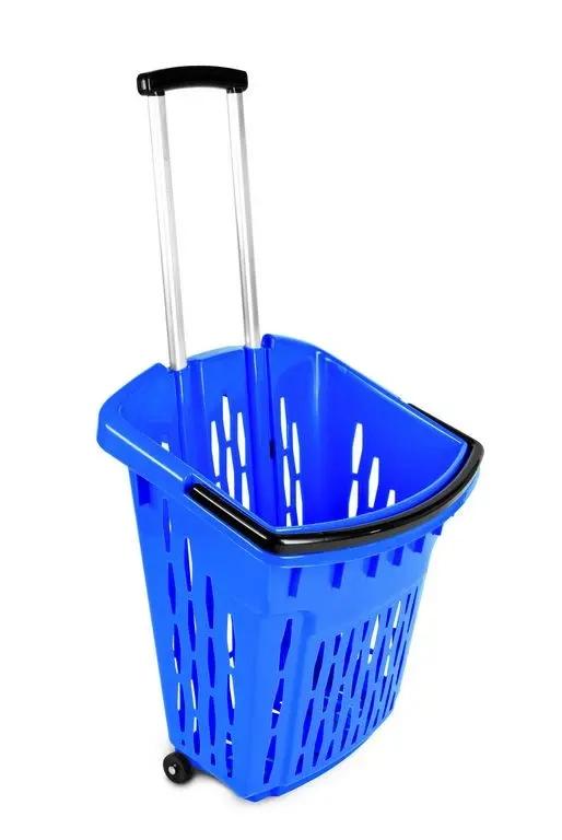 Powiększane zdjęcie