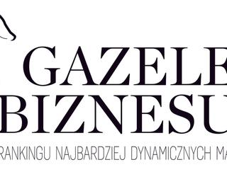 Domyślny tekst alternatywny