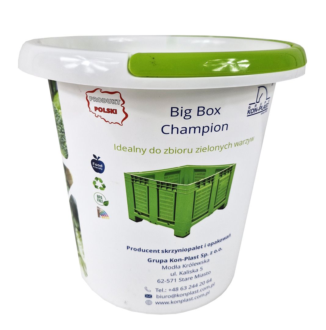 Domyślny tekst alternatywny