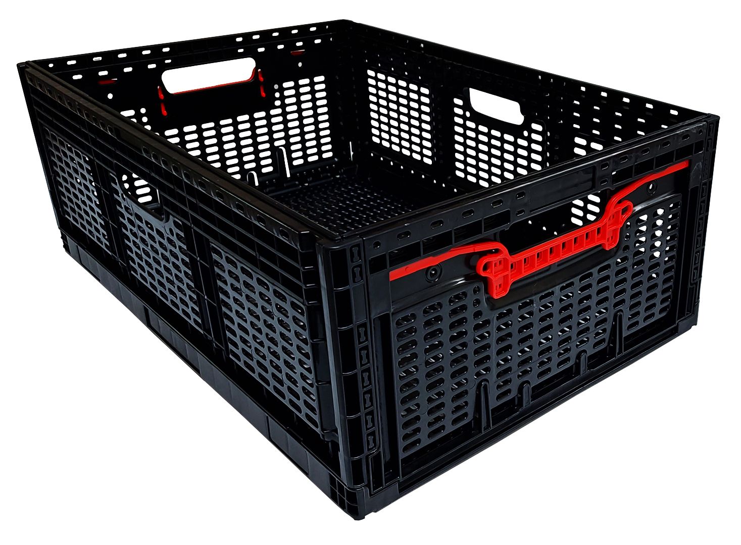 Powiększane zdjęcie