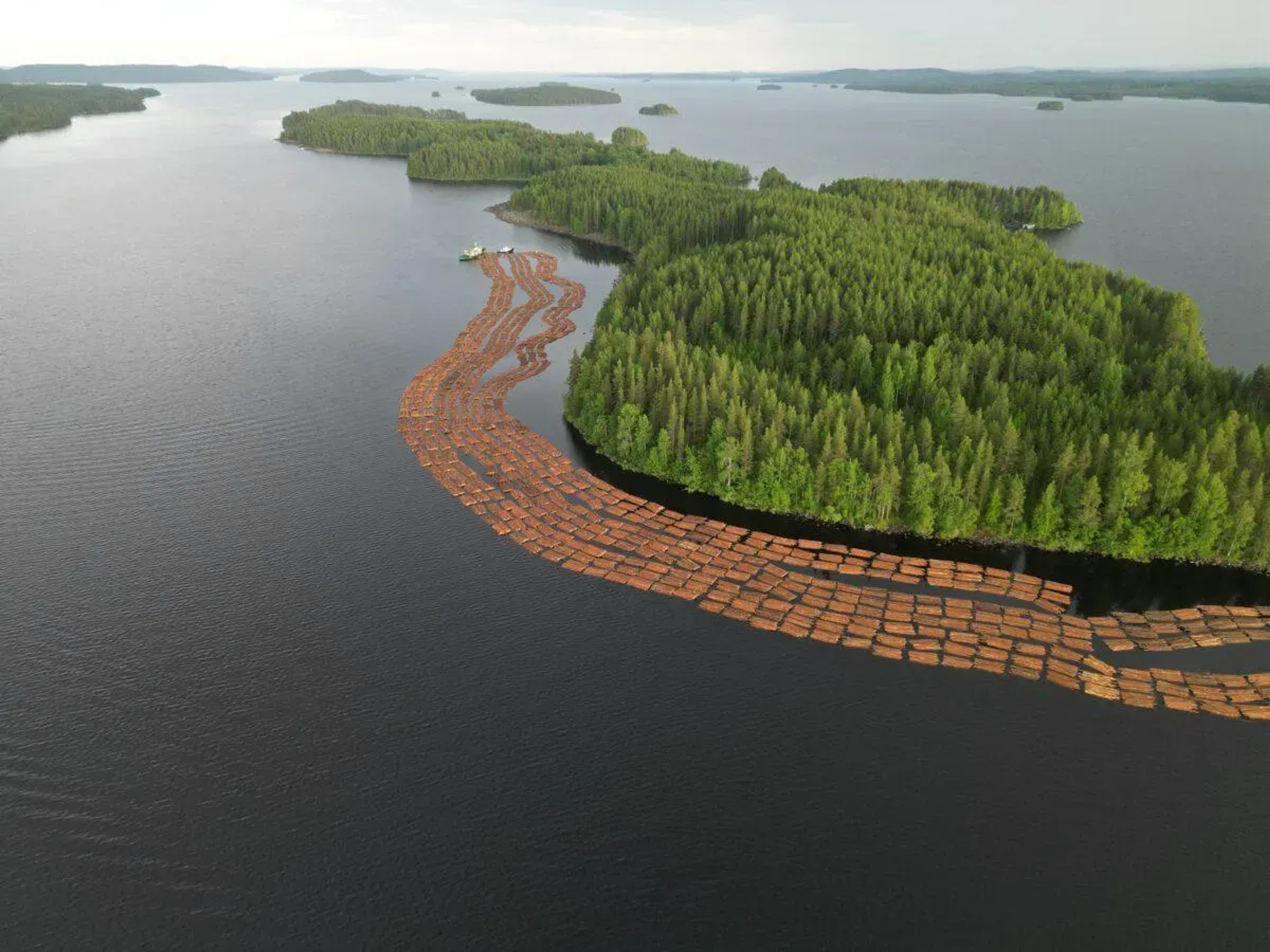 Fin-Terpuu Group's logistics solutions for the forest industry