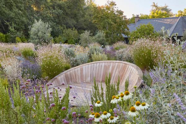 Curved timber bench set in a meadow garden of lavender and coneflowers