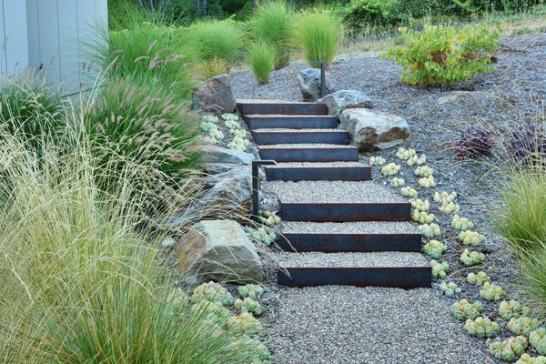 Steel-edged gravel steps through grasses and succulents