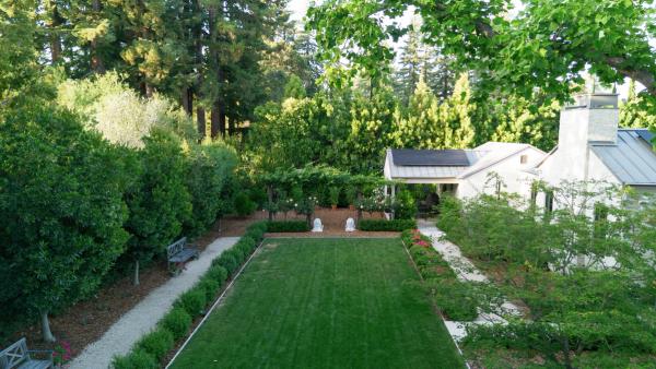 Formal lawn panel framed by clipped hedges and fruit trees