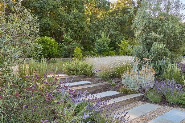 Stone steps rising through lavender and grasses on a hillside garden