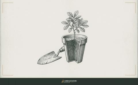 Antique engraving illustration. A gardener's trowel resting beside a well-tended potted oak sapling, its roots visible through the terra-cotta wall of a sectioned planter.