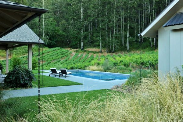 Pool lawn bordered by ornamental grasses with vineyard views