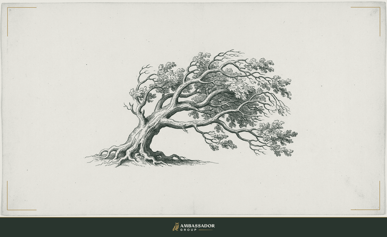 Engraving of a mighty oak bending gracefully in the wind without breaking, depicting the quiet strength of humility.