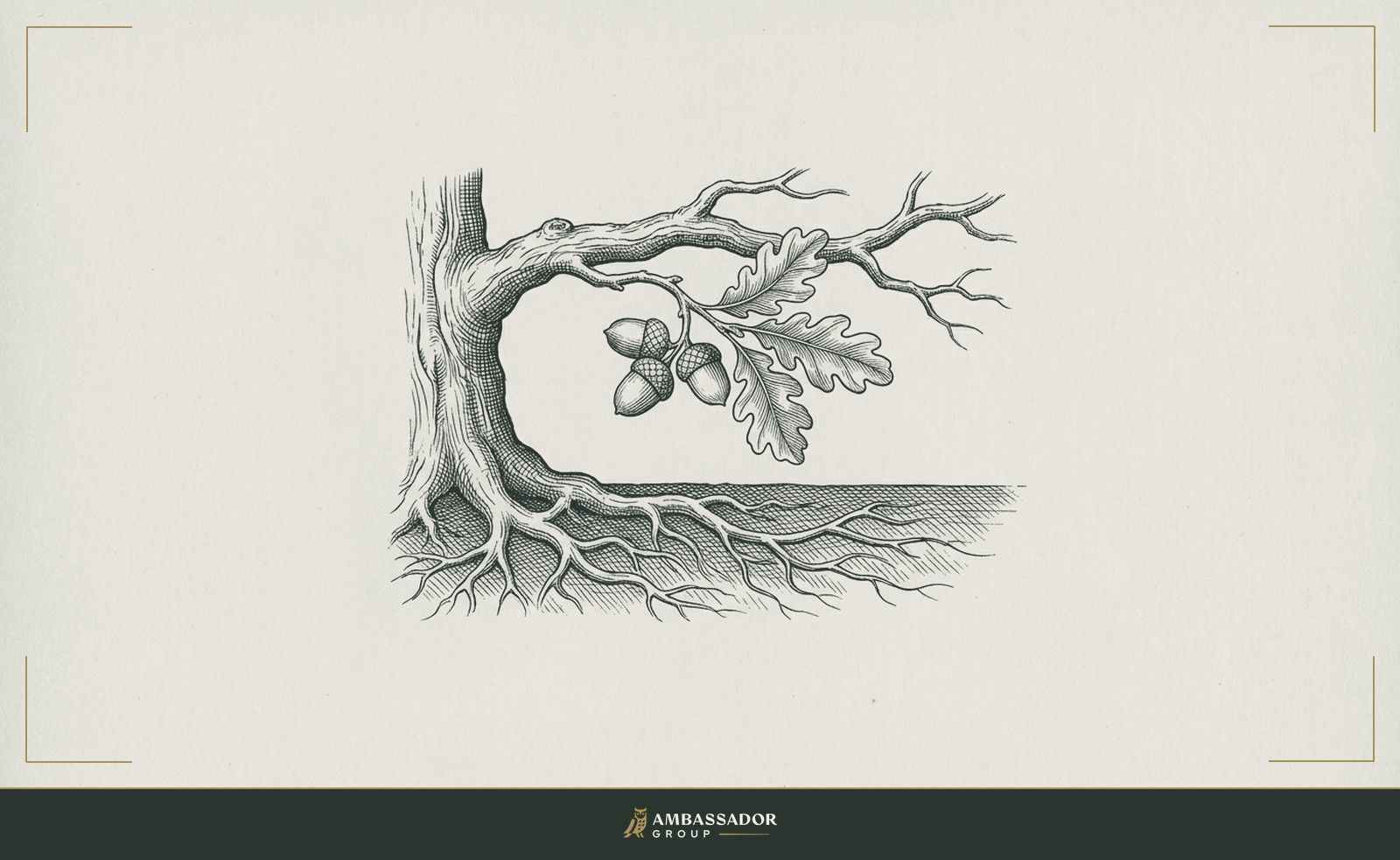 Antique engraving illustration. A single oak branch extending outward from the trunk, a cluster of acorns hanging from it, the roots below spreading visibly into the earth.