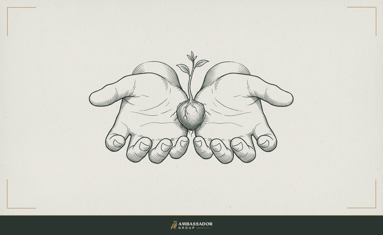 Antique engraving illustration. Two open hands facing upward side by side, a small seedling root-ball resting gently between their palms.