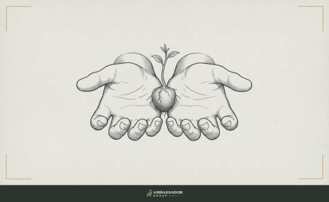 Antique engraving illustration. Two open hands facing upward side by side, a small seedling root-ball resting gently between their palms.
