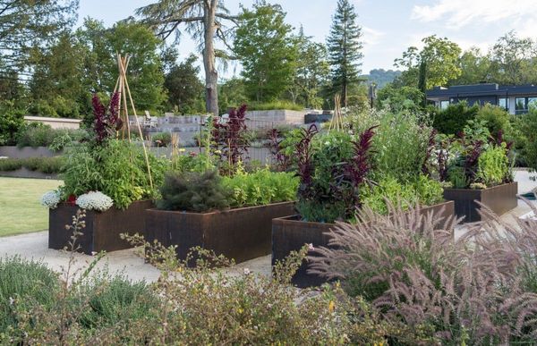 Corten raised vegetable beds on a gravel courtyard