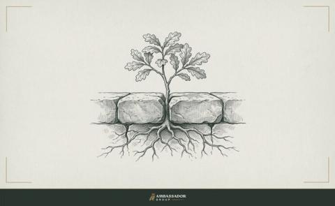 Antique engraving illustration. A single oak sapling growing from a crack between two adjoining property stones, its roots threading both plots, belonging to no one's exclusive claim, simply growing.