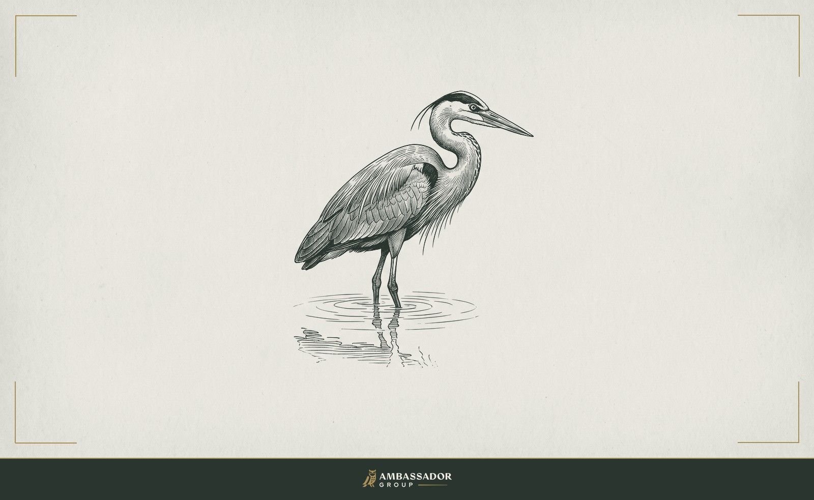 Antique engraving illustration. A heron stands motionless in shallow water, watching the surface before it strikes.