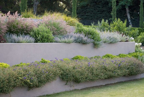 Terraced plaster walls planted with flowering perennials