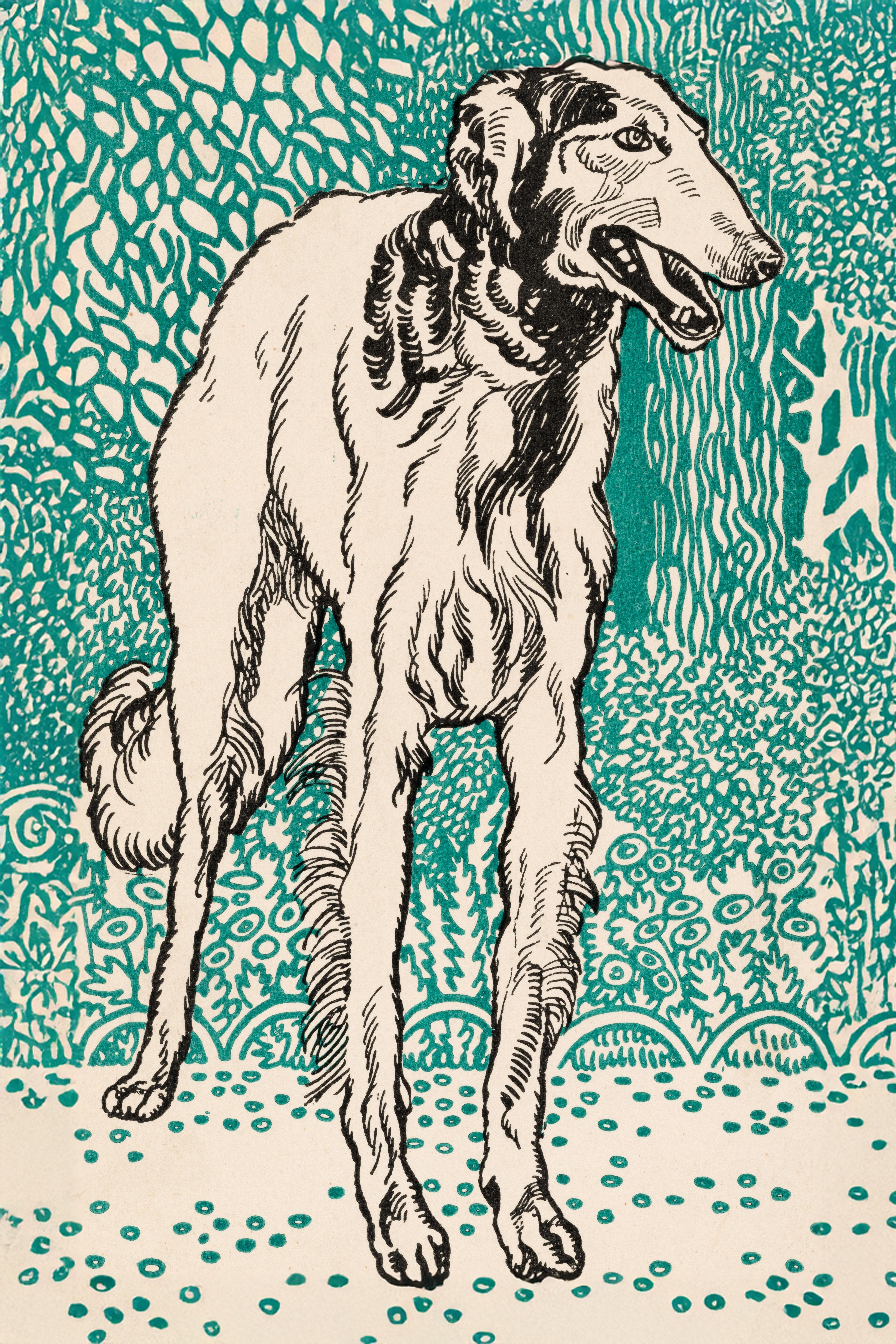 Postcard No. 677: Greyhound