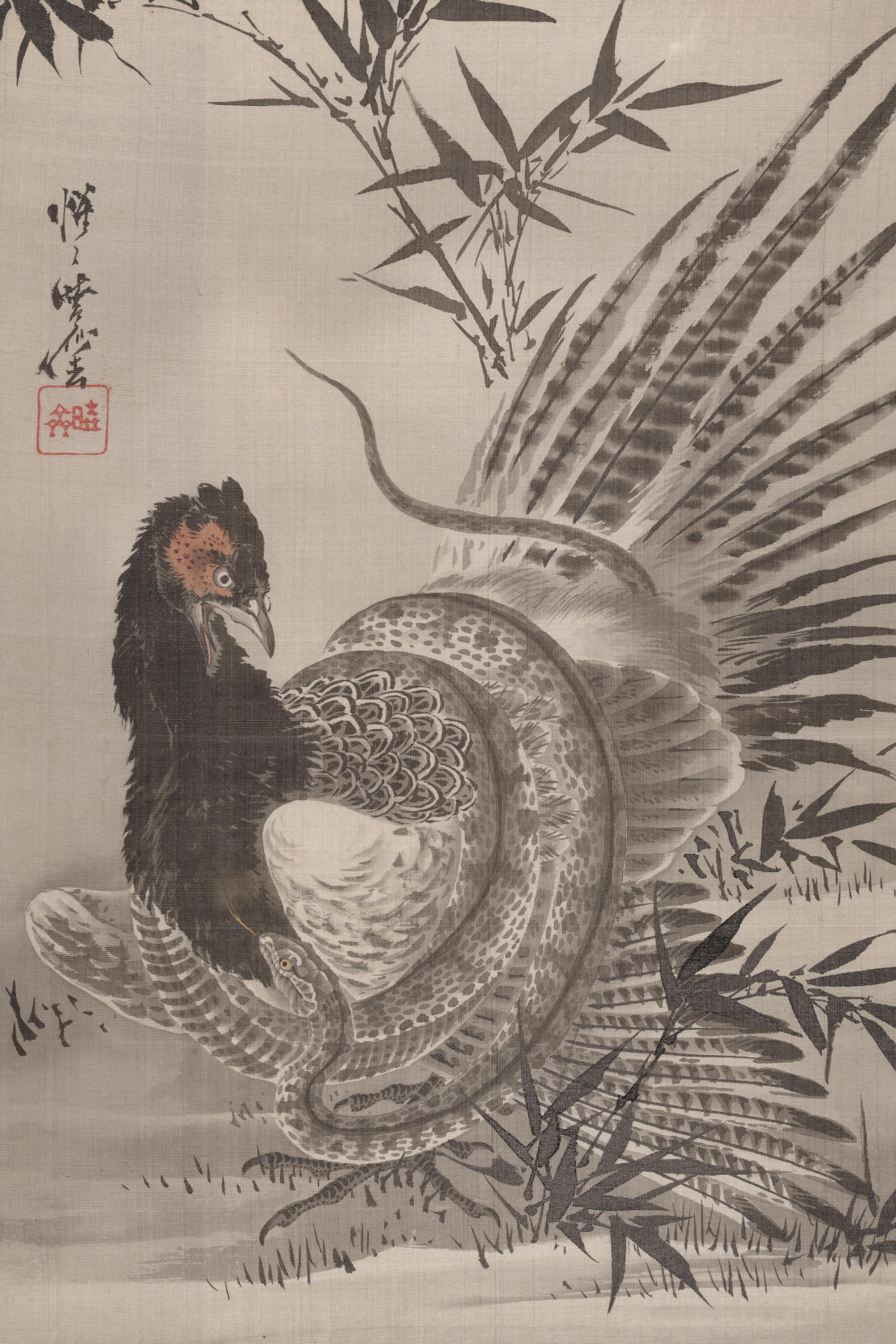 Pheasant Caught by a Snake