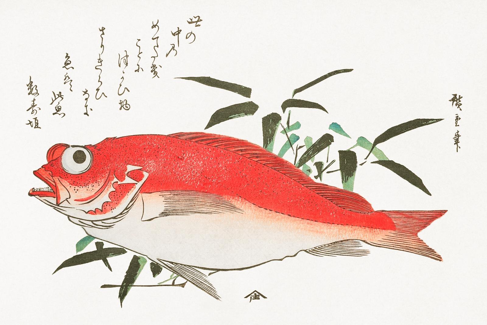 Medetai Fish and Sasaki Bamboo, from the series Uozukushi (Every Variety of Fish) (1840) by Utagawa Hiroshige.