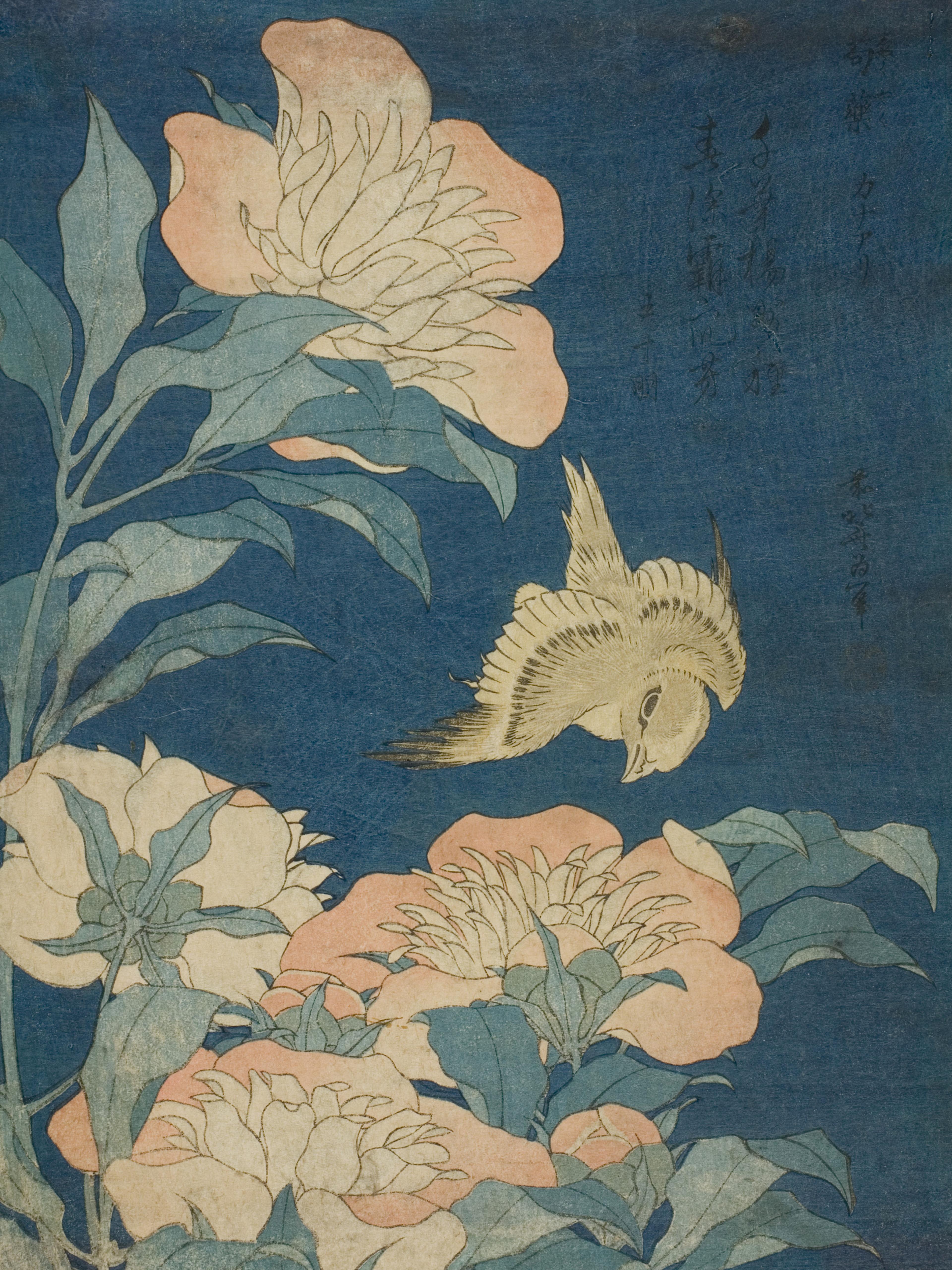 Canary and Peony