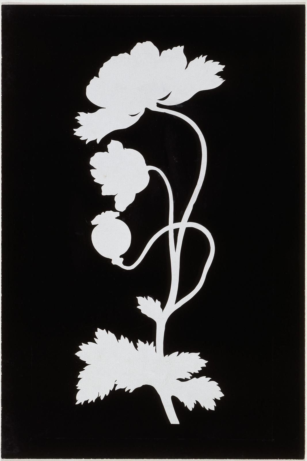 Poppy, null by philipp otto runge