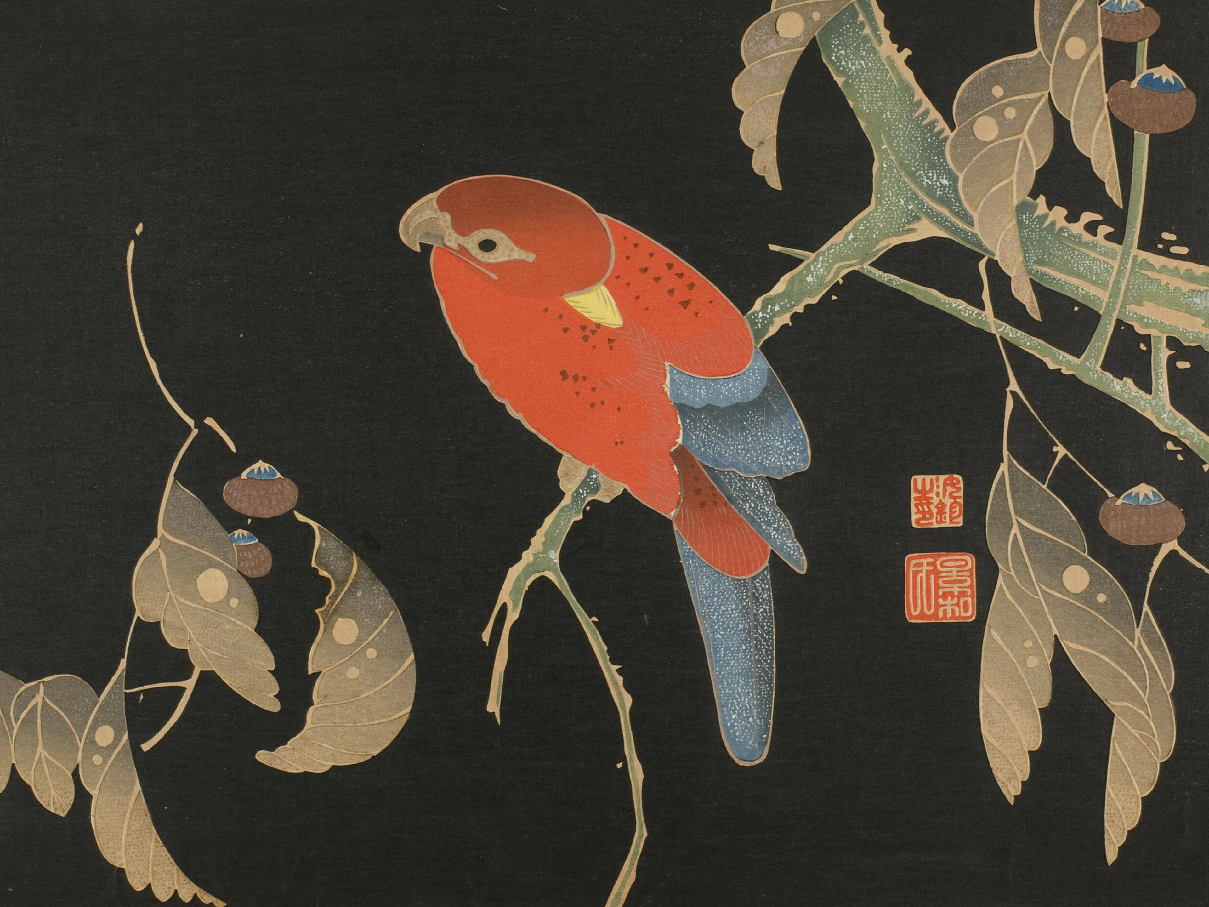 Red Parrot on the Branch of a Tree
