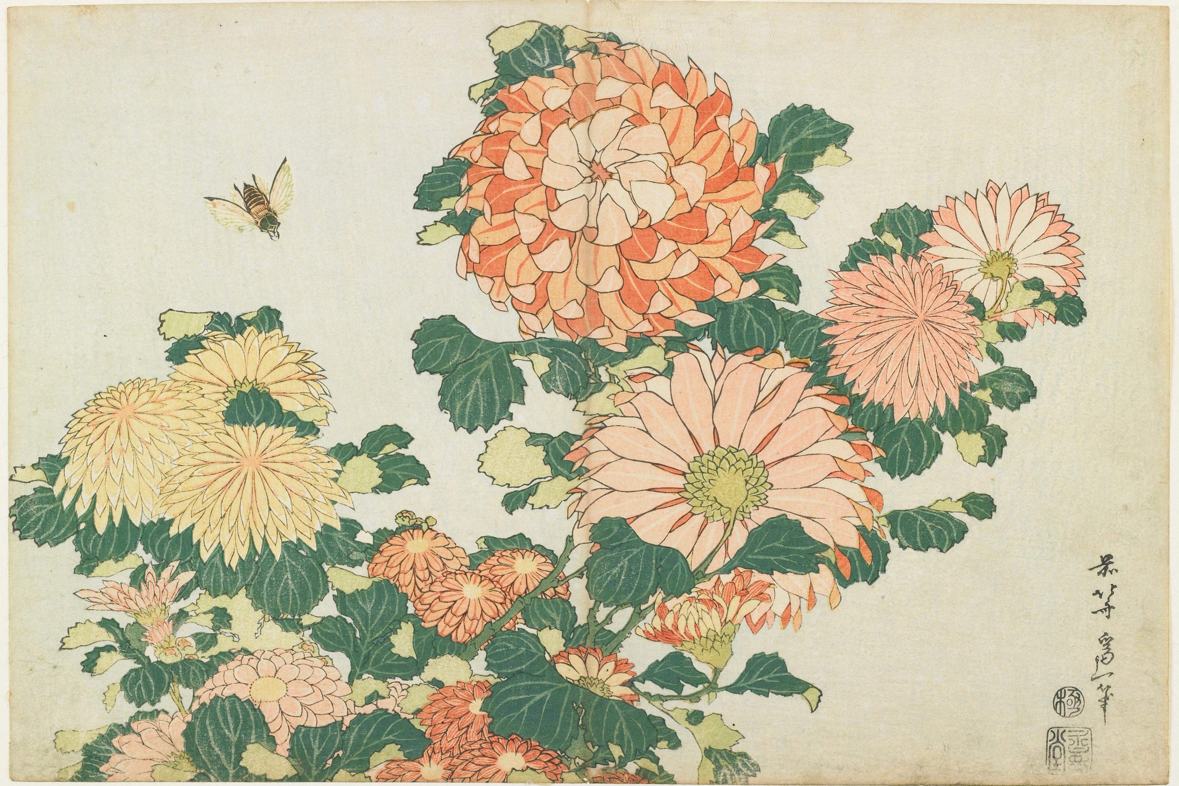 Chrysanthemums and Bee