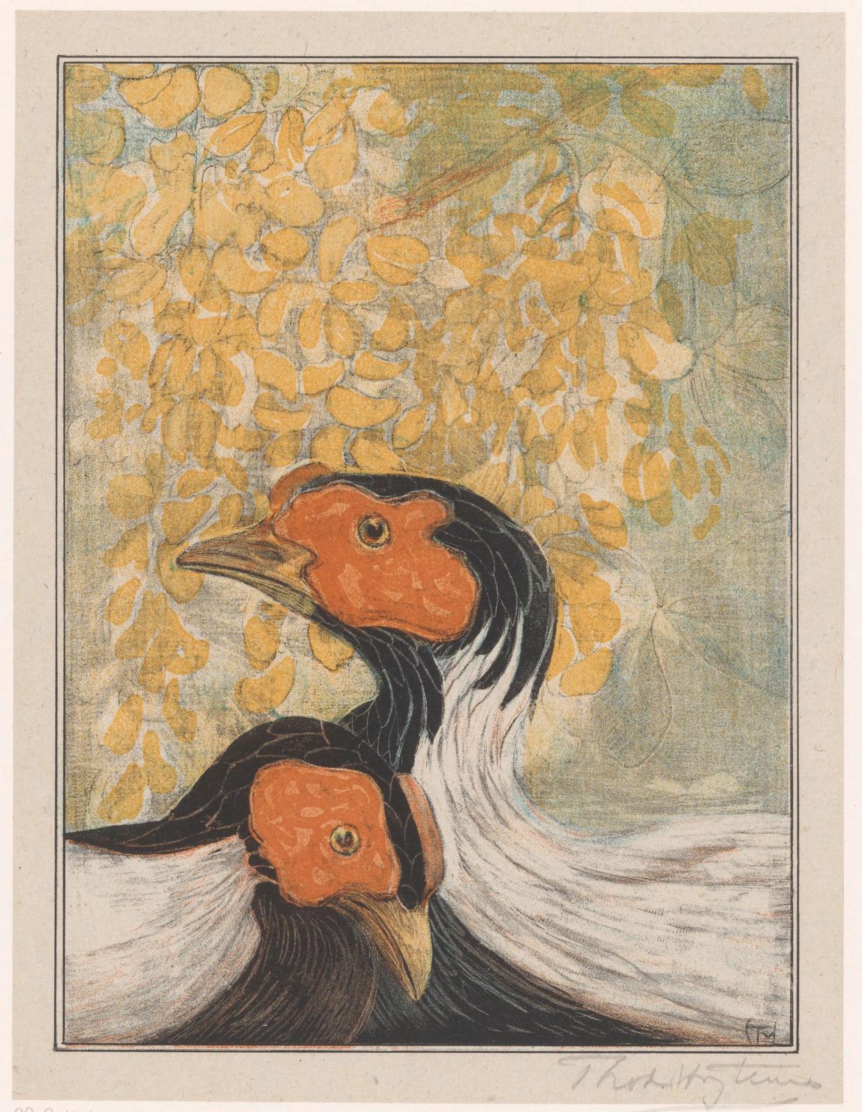 Two waterfowl with orange-red faces and black plumage nestled together beneath golden autumn foliage