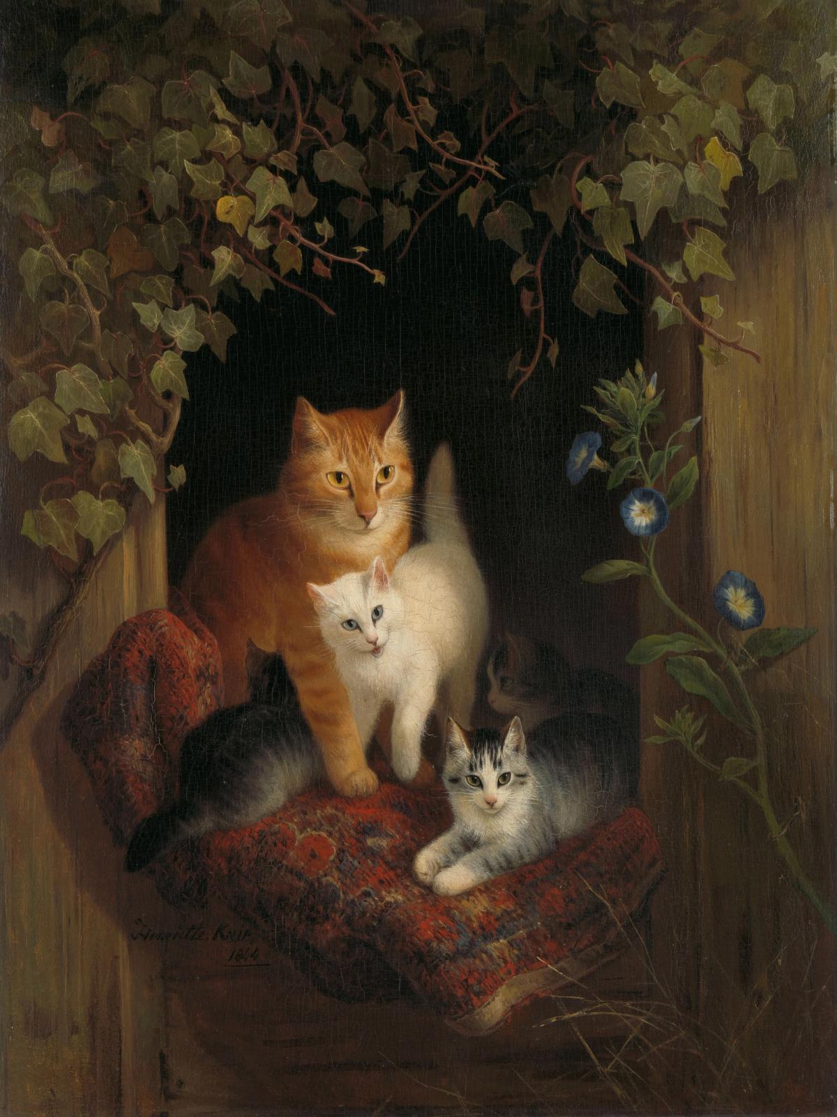 Cat Gang
