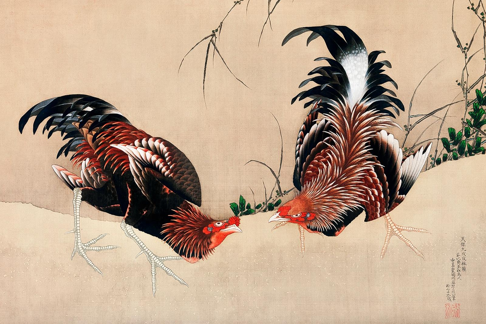 Painting of two fighting cocks squaring off against each other