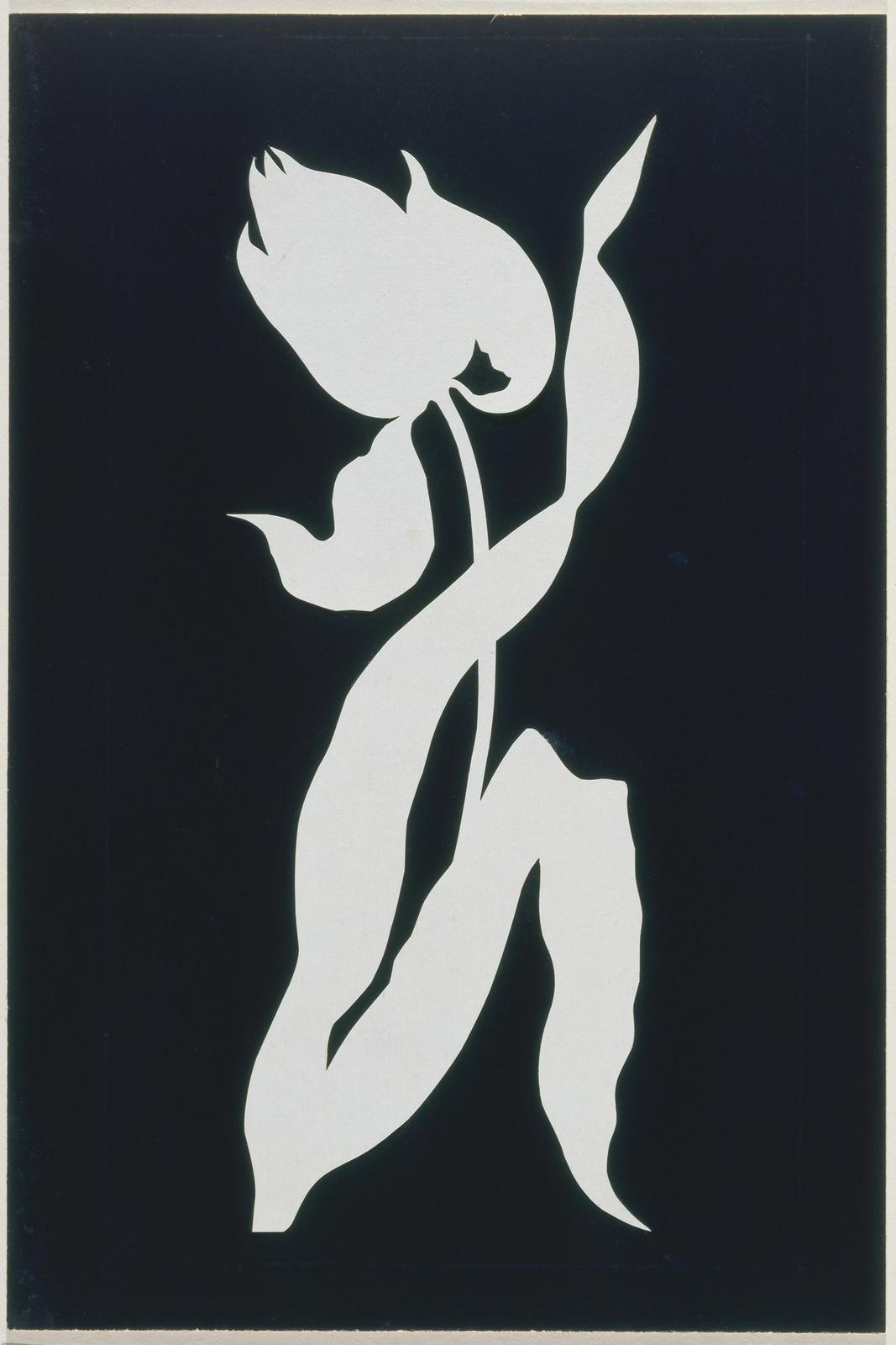 Tulip, null by philipp otto runge