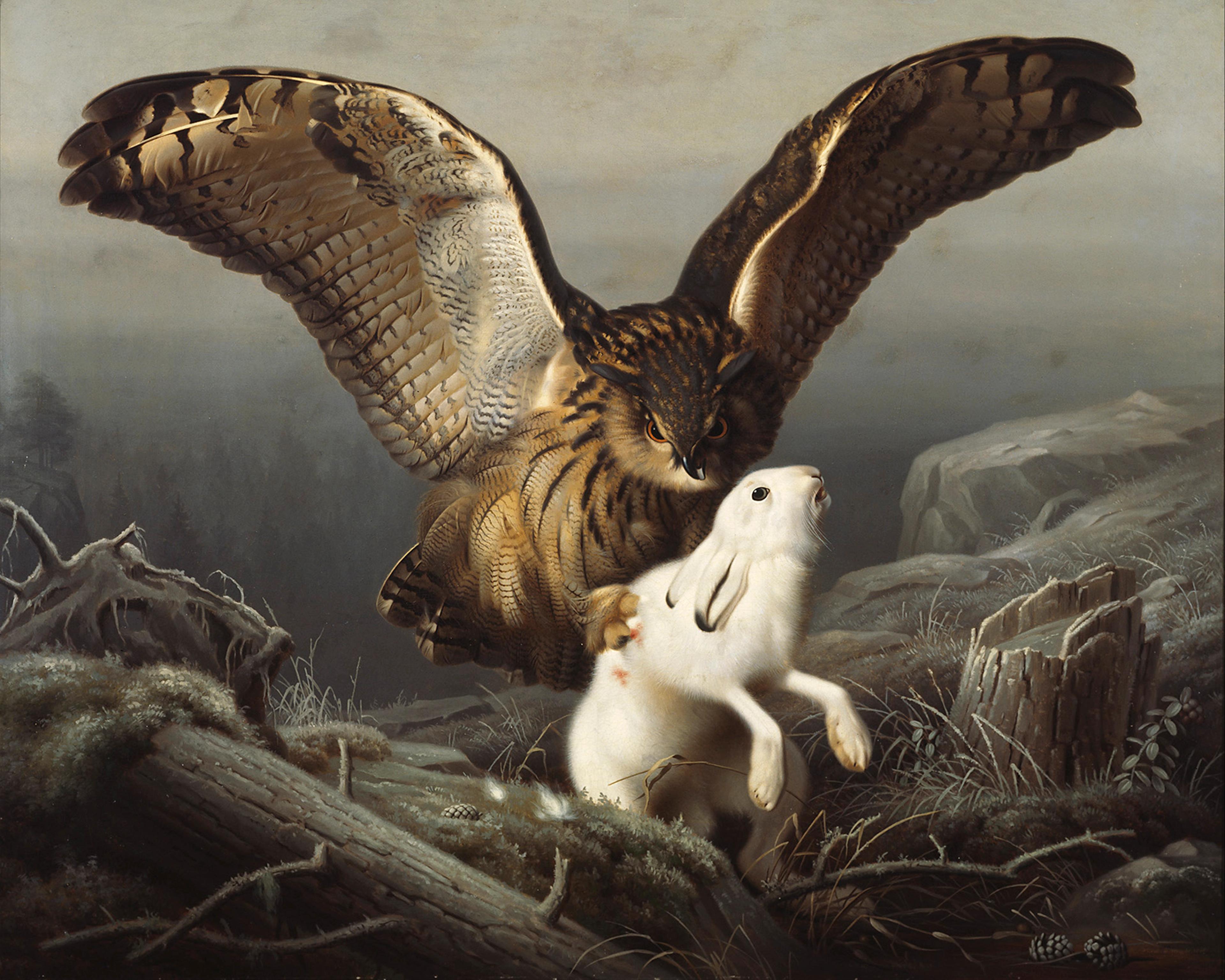 An Eagle-Owl Seizes a Hare