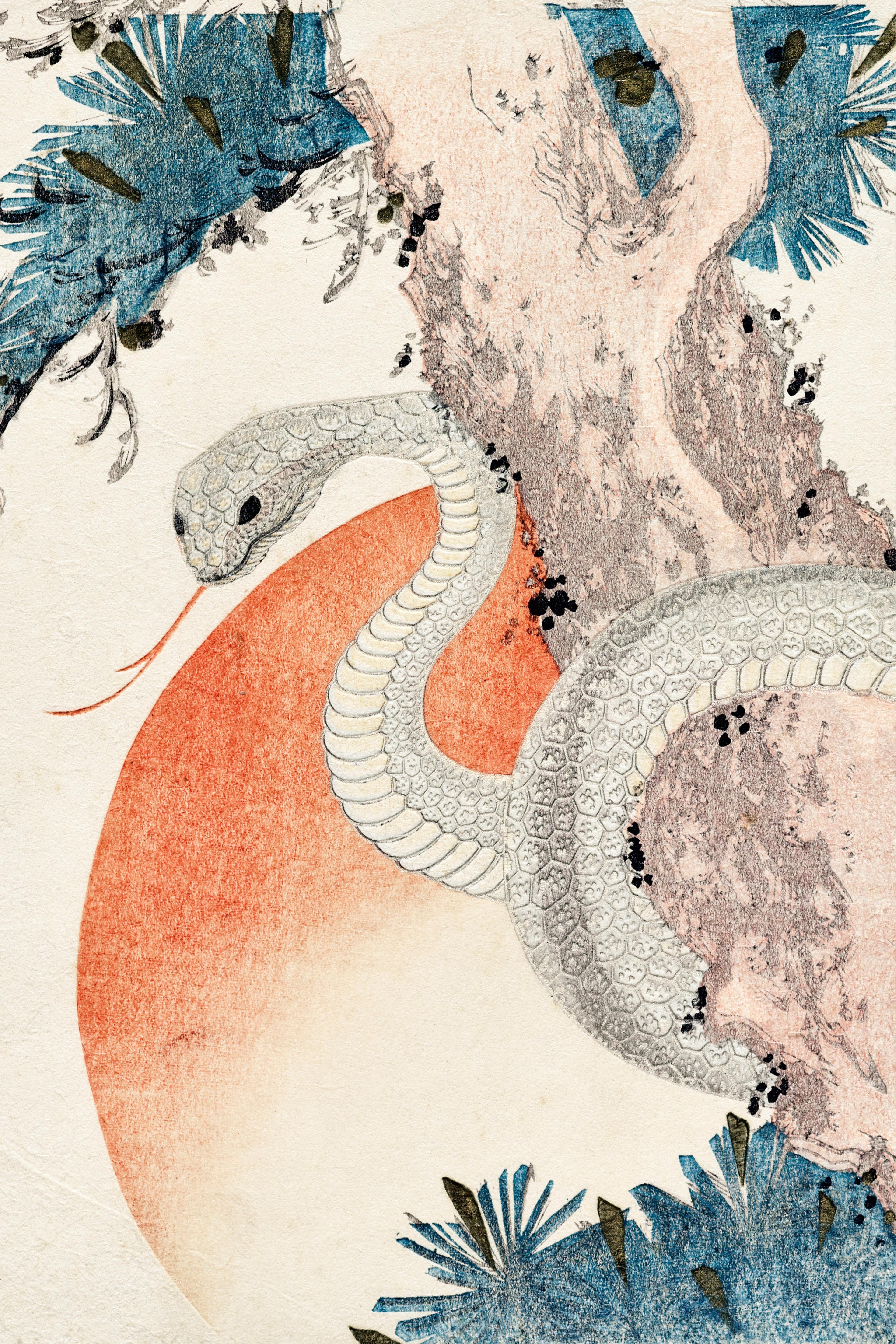 Snake Coiled Around a Pine Tree