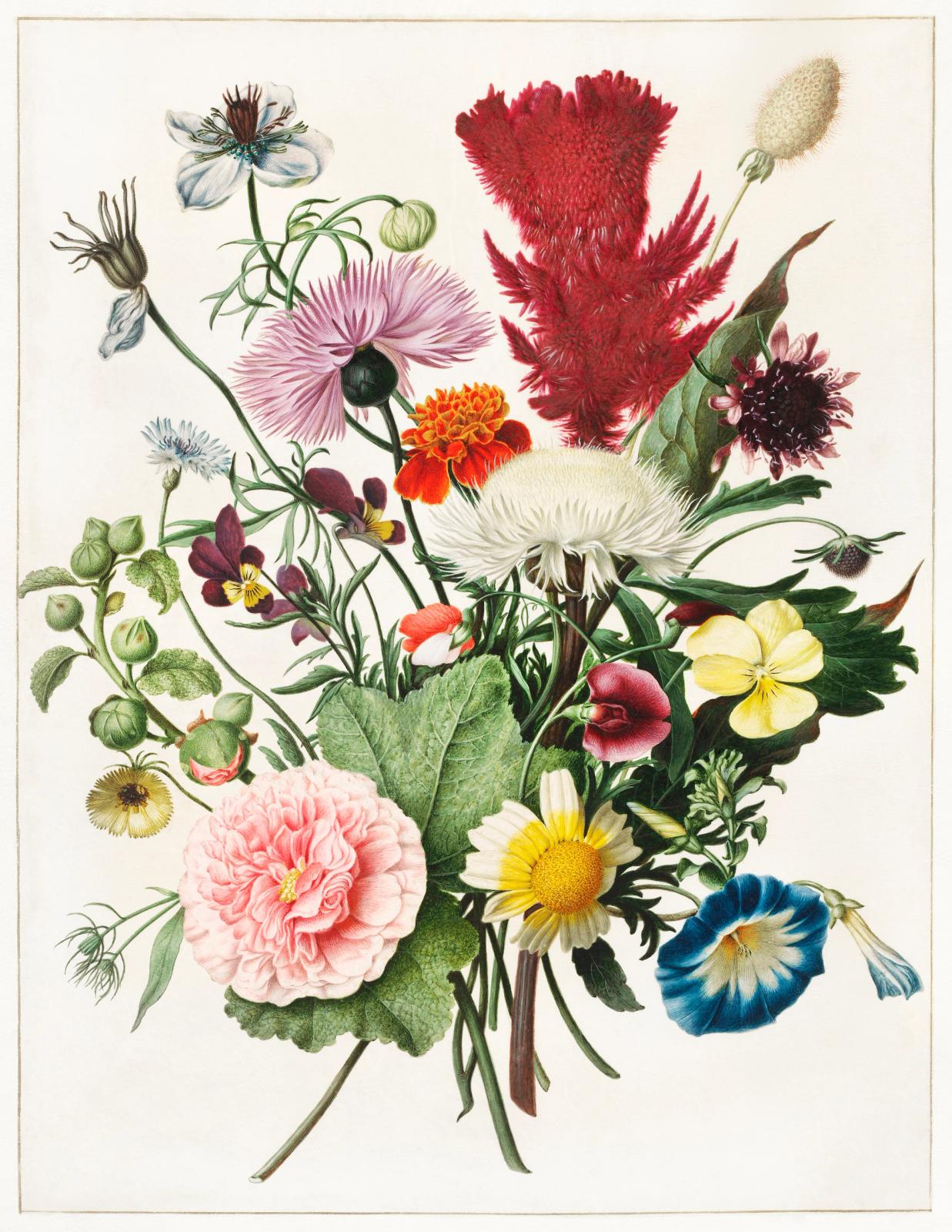 Vintage botanical illustration of a mixed flower bouquet with roses, daisies, and wildflowers in vibrant colors
