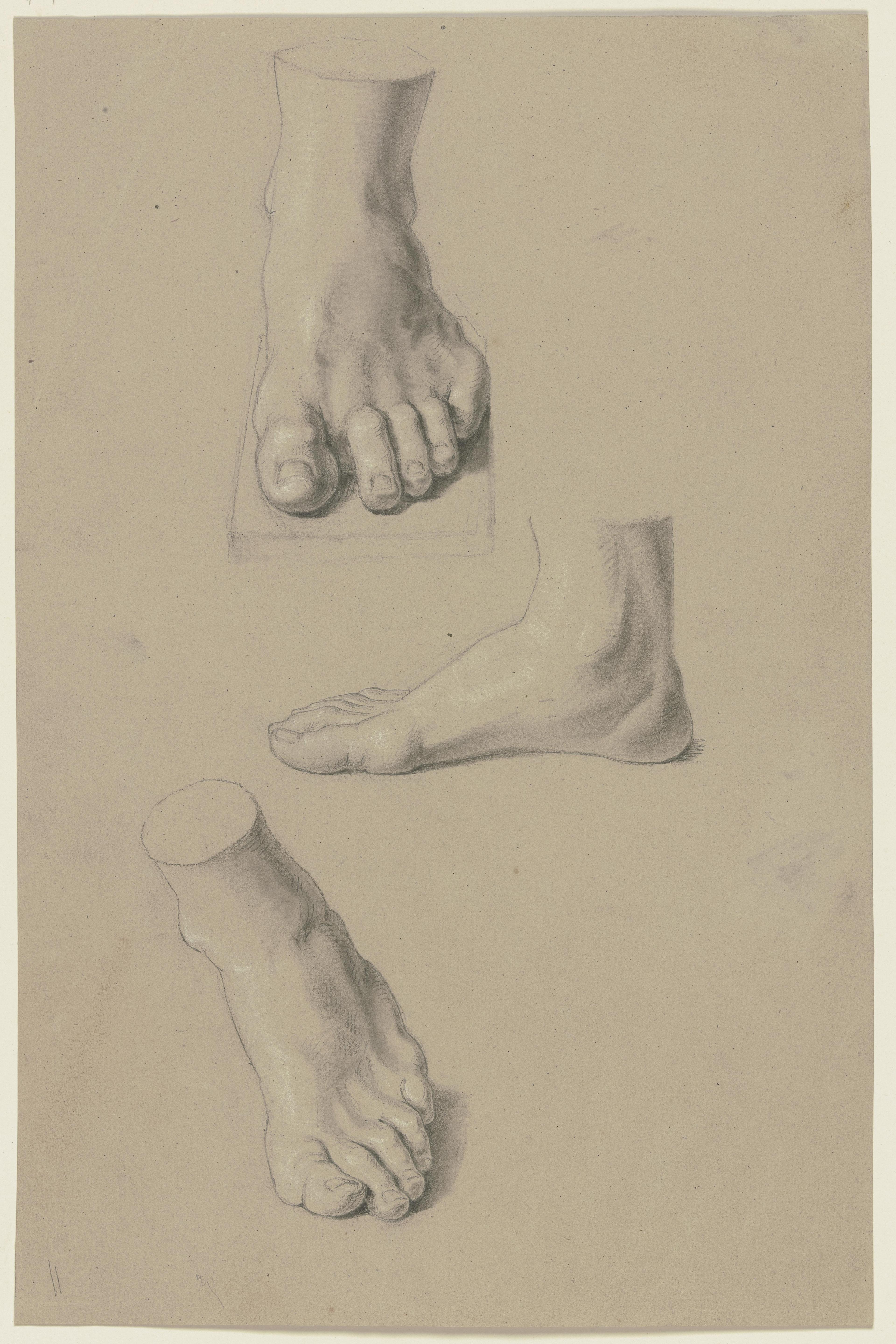 Study Sheet: Feet