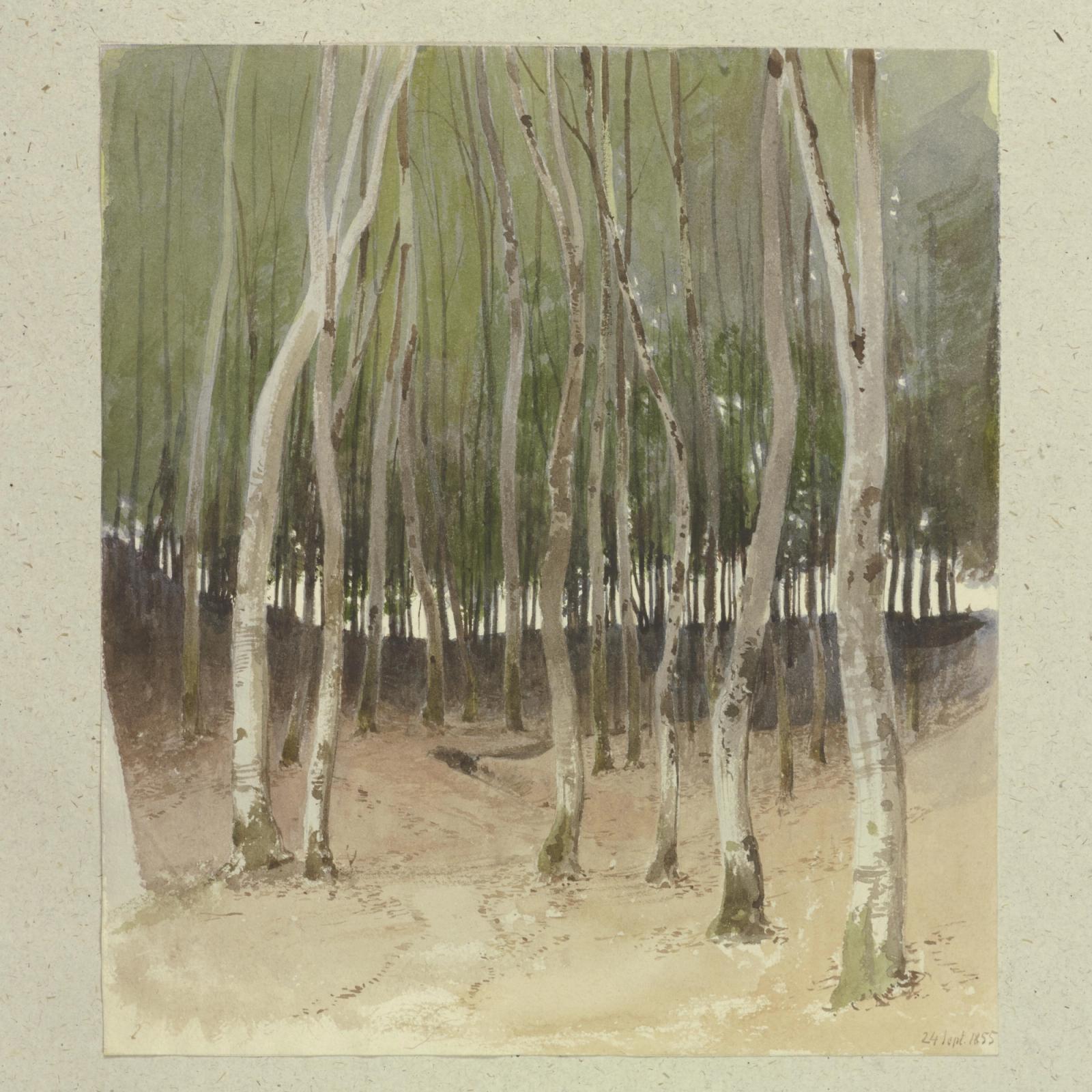 Birch forest, September 24, 1855 by carl theodor reiffenstein