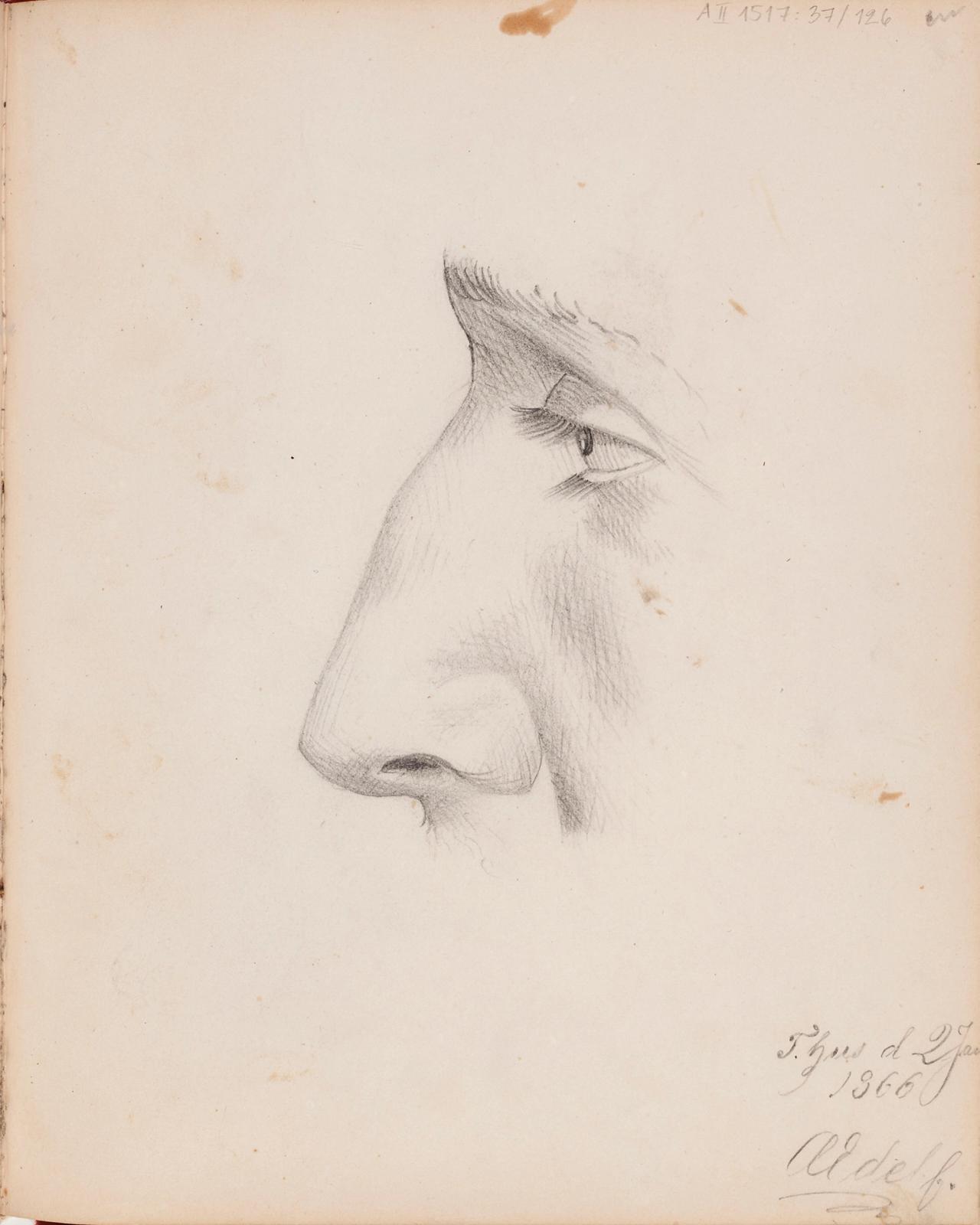 Nose