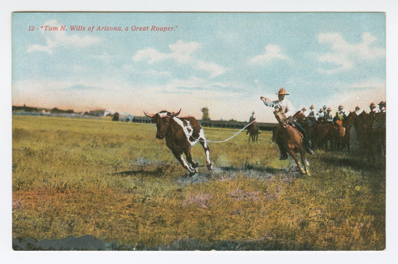 Vintage postcard showing cowboy on horseback roping a steer in open field with spectators in background