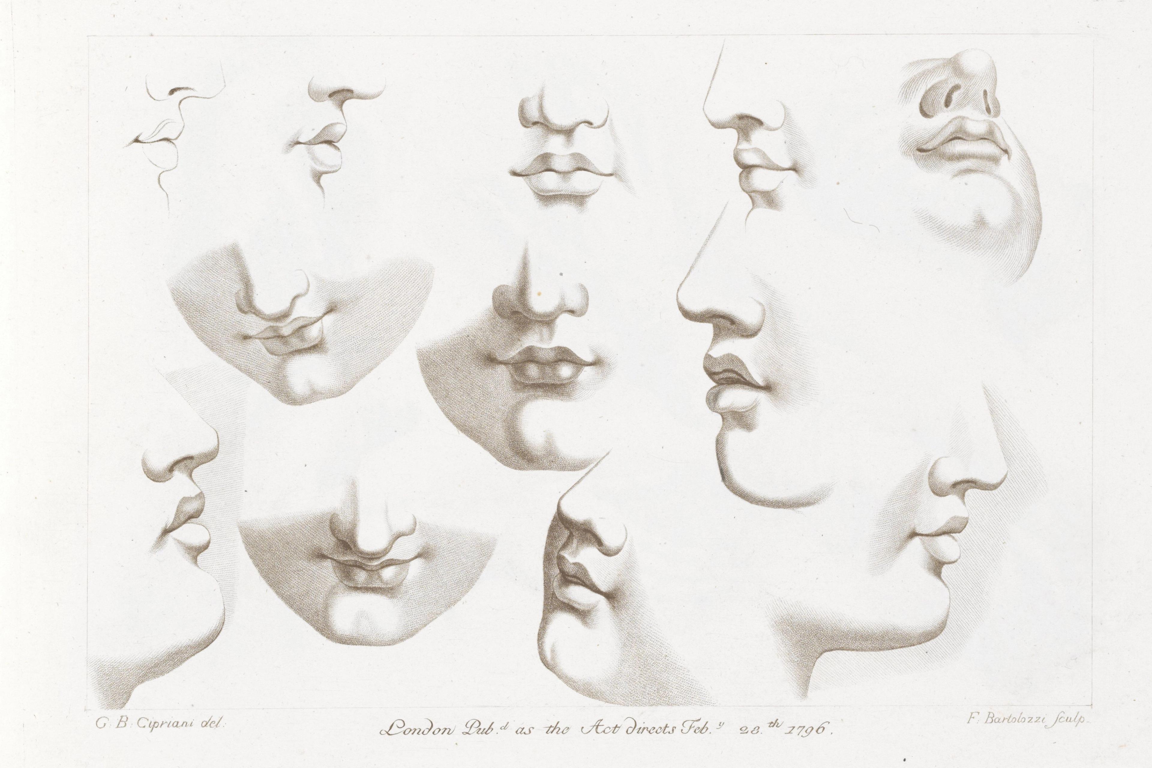 Twelve Noses And Mouths