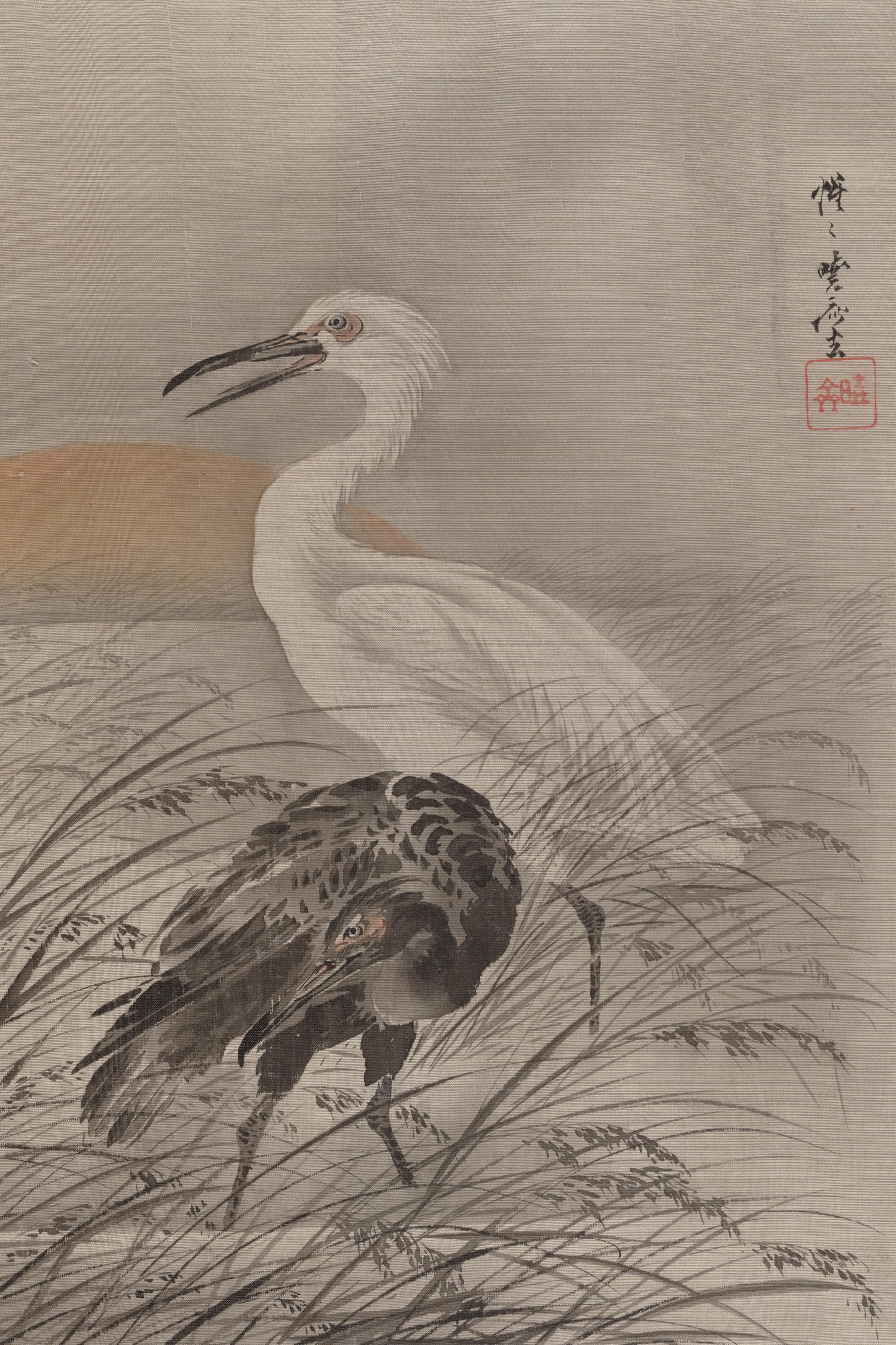 Cranes in Marsh