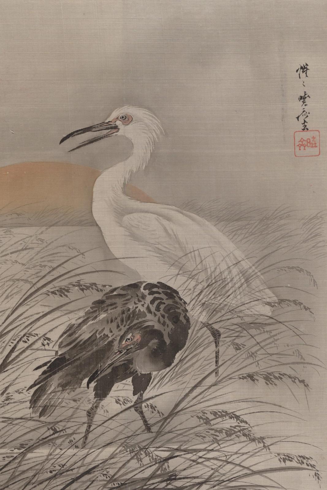 Album leaf painting of cranes standing among reeds and grasses in a marsh