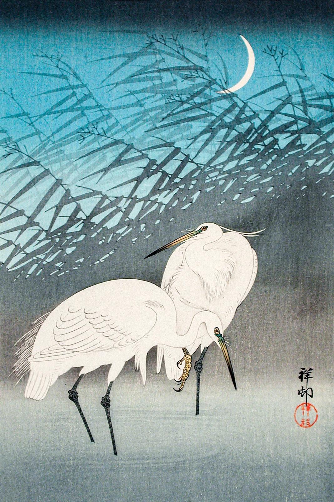 Two white egrets standing in shallow water among reeds under a crescent moon
