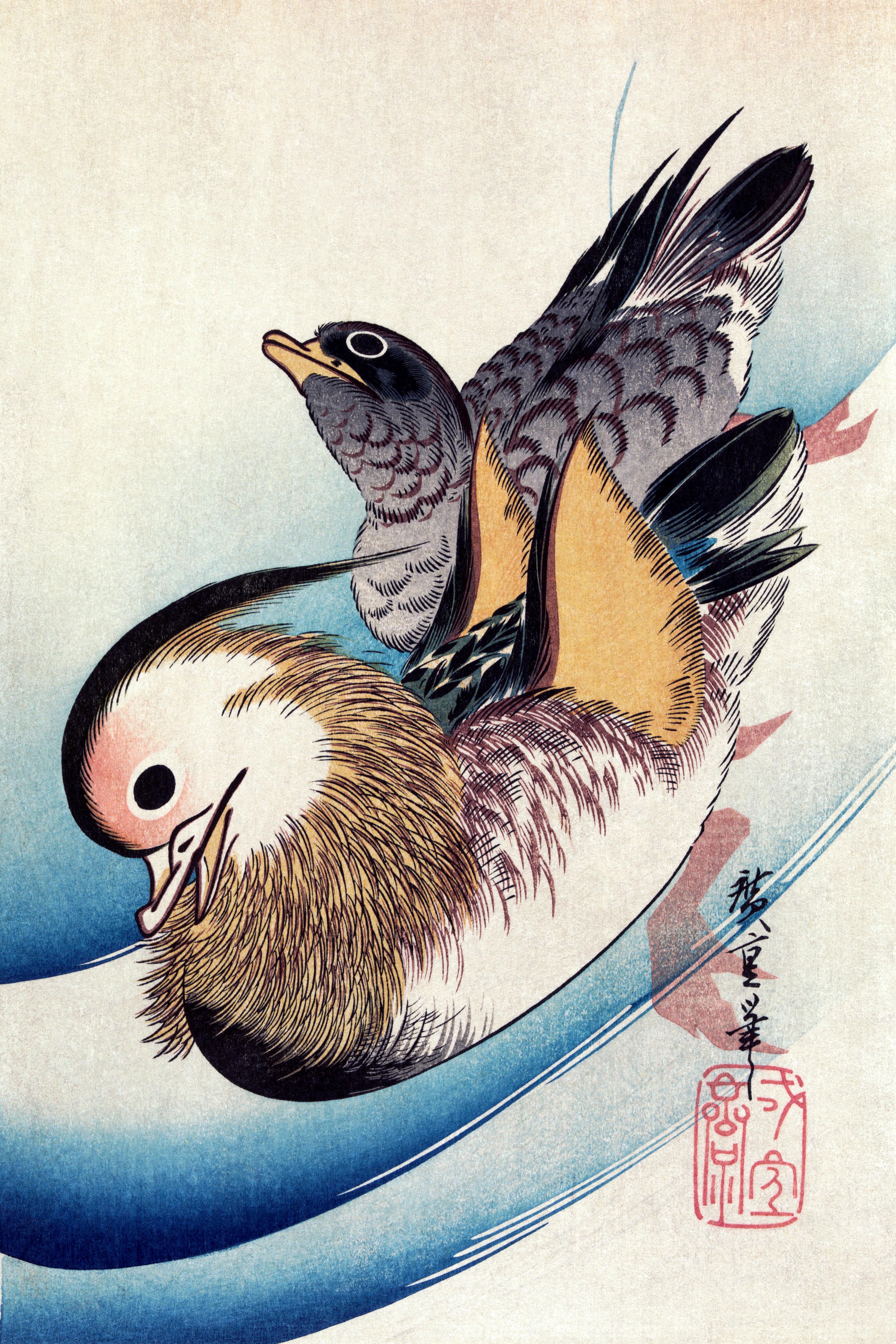 Mandarin Ducks in Reeds