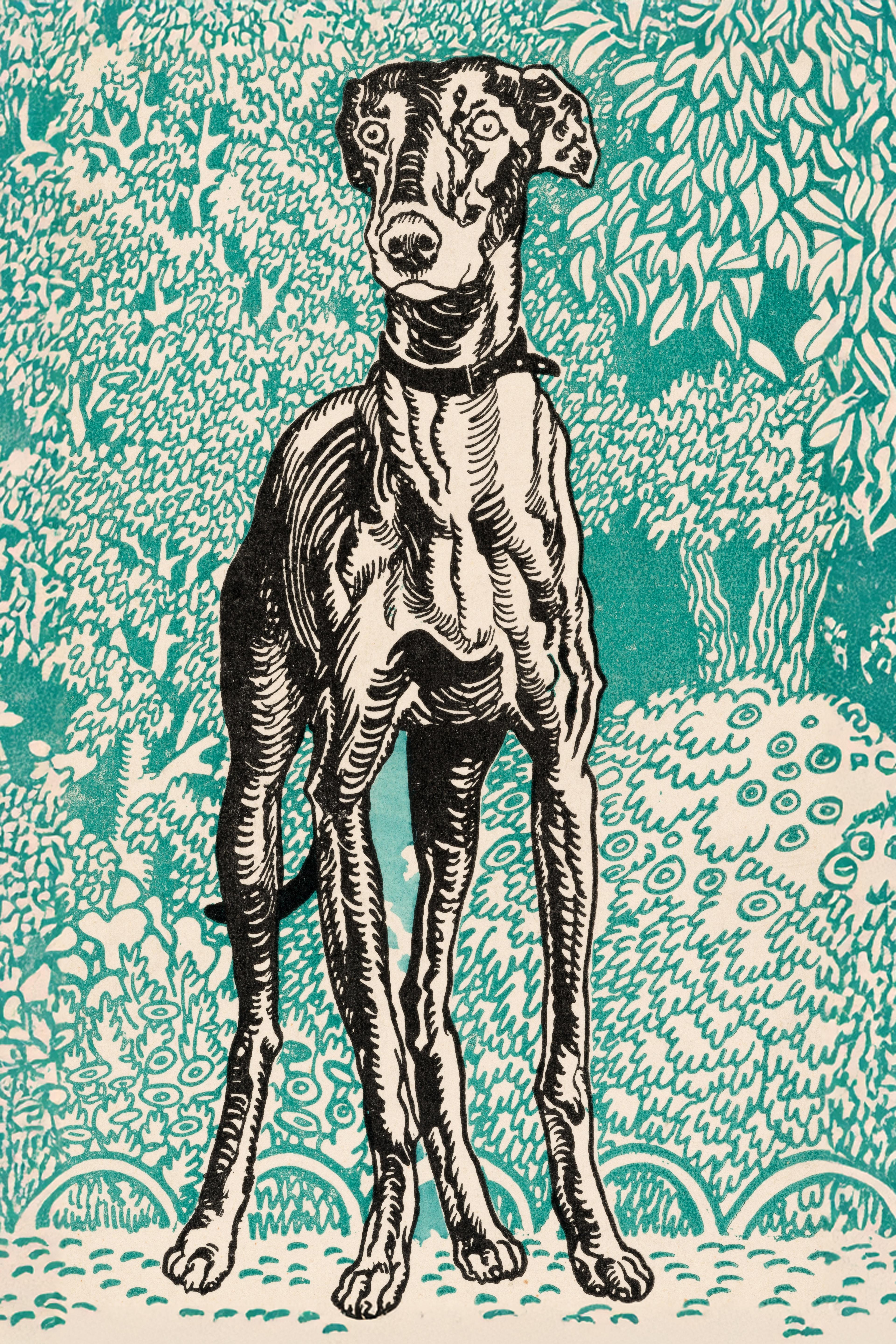 Postcard No. 678: Greyhound