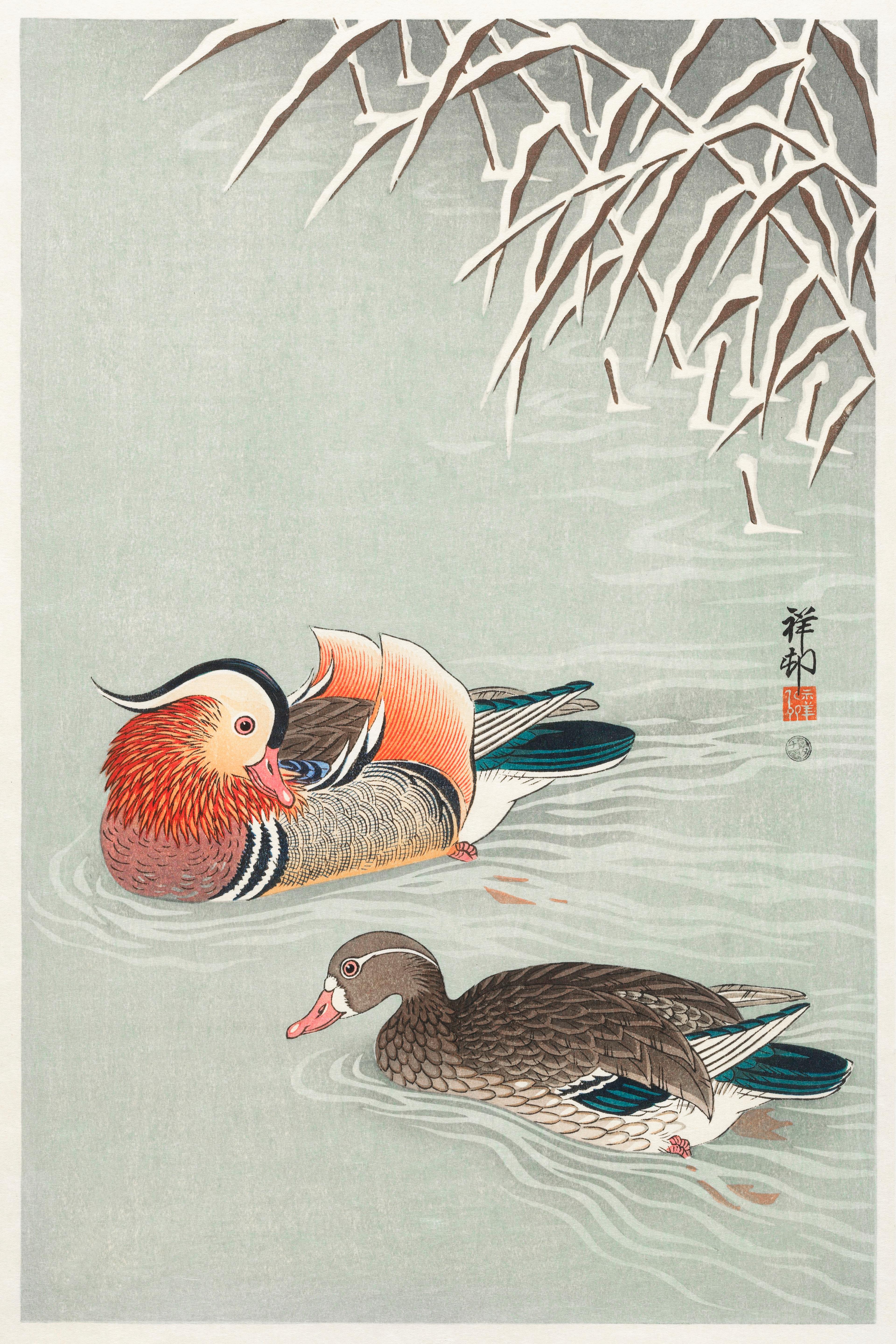 Mandarin Ducks