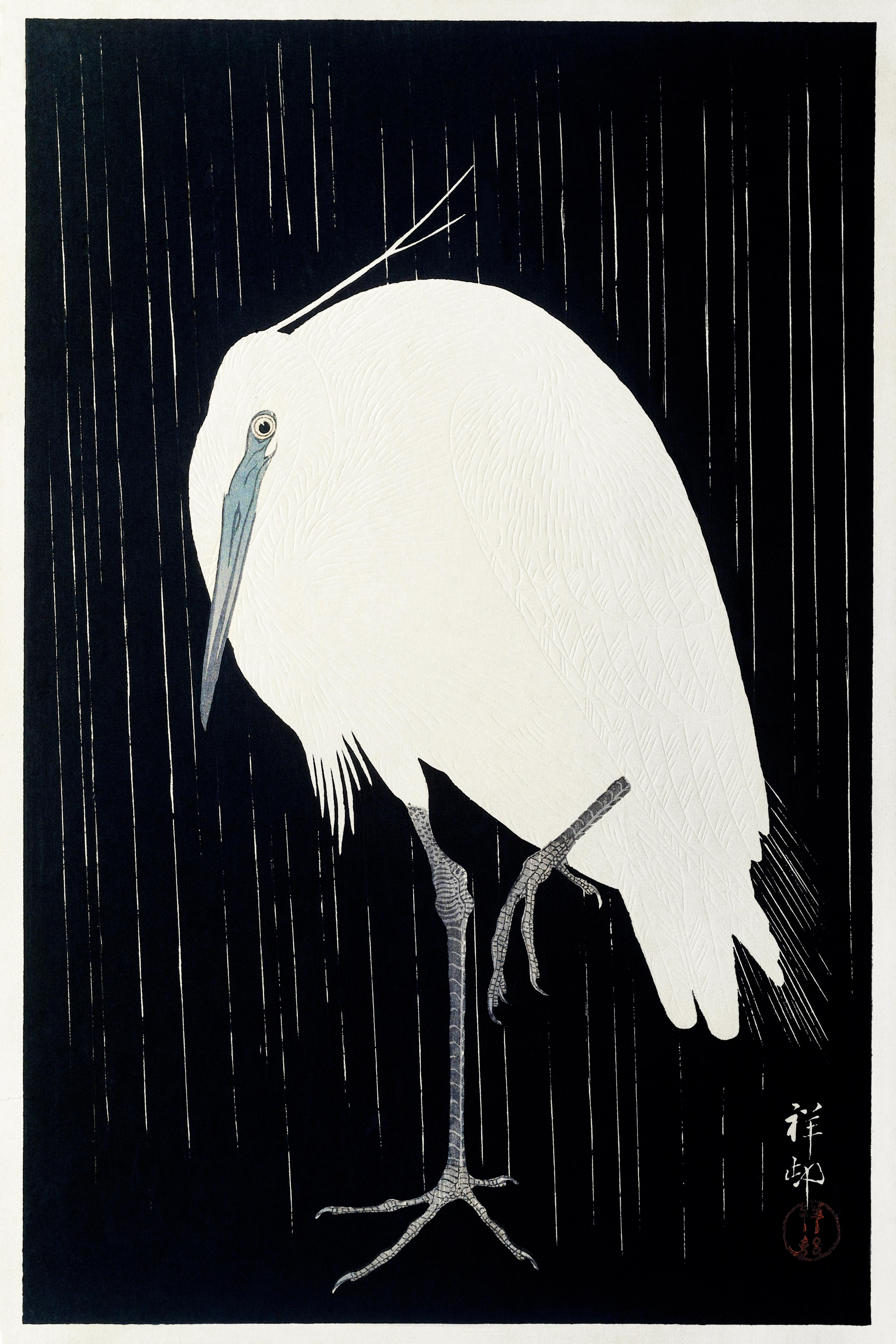 Egret in the Rain